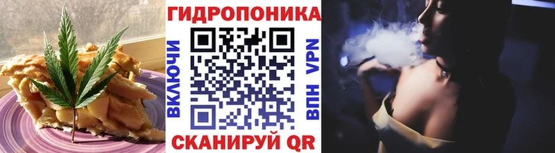 как найти Шуя Еда ТГК марихуана