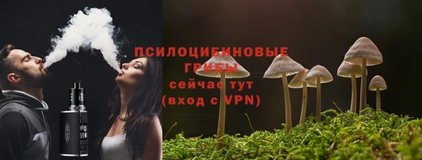 соль ск Аркадак