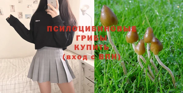 амф Арсеньев