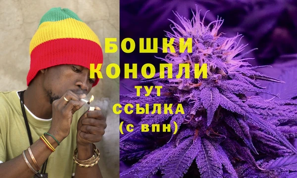 амф Арсеньев