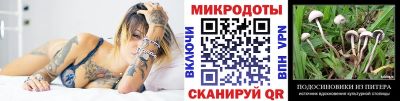 Псилоцибиновые грибы прущие грибы  даркнет сайт  KRAKEN ССЫЛКА  Шуя 