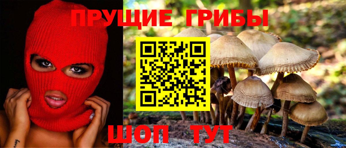 Псилоцибиновые грибы Psilocybine cubensis Шуя