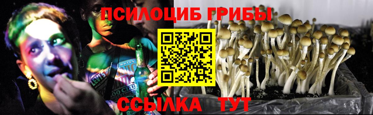 Шуя  Галлюциногенные грибы мицелий  Вход с VPN 