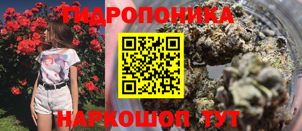 Канабис план Шуя
