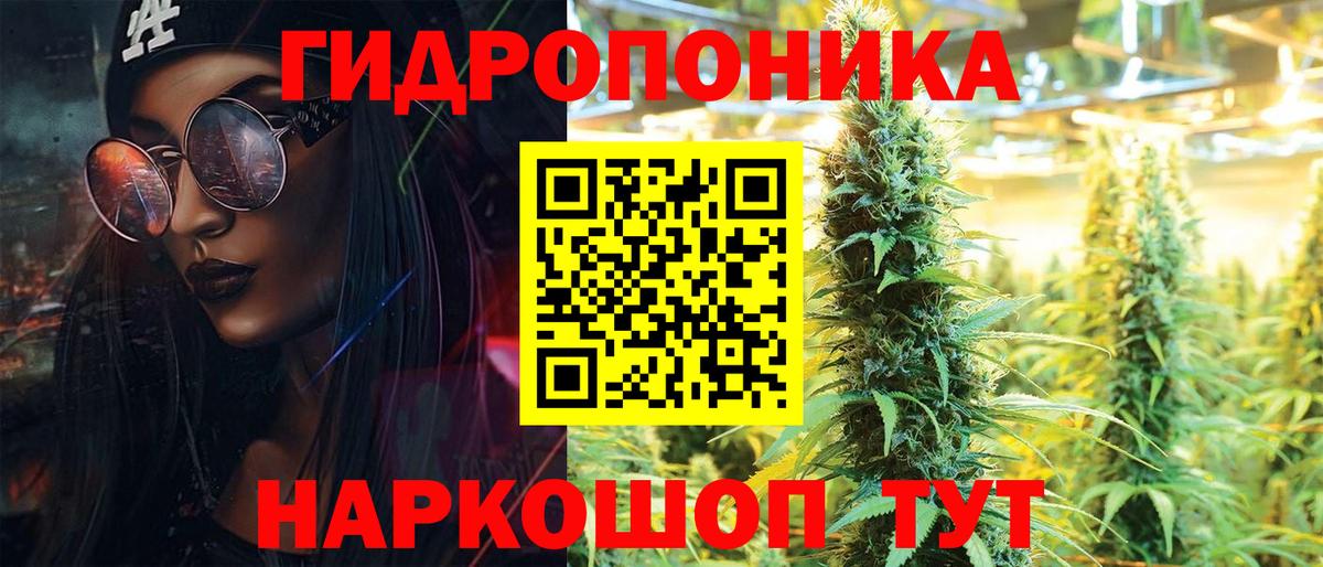 Бошки Шишки конопля  Марихуана Bruce Banner  Вход с VPN  Конопля конопля  Шуя 